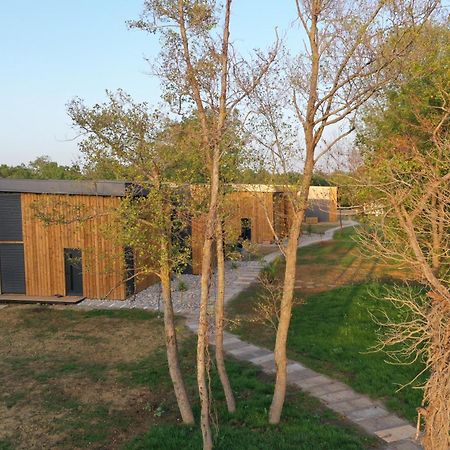 Salinas Nest - Ulcinj Stoj Ada Bojana Villa Buitenkant foto